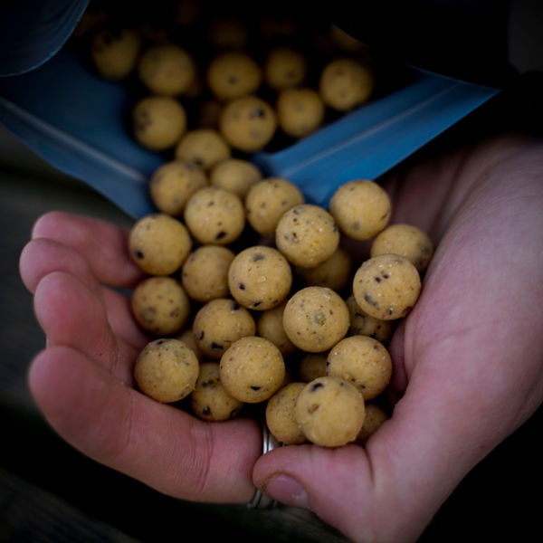 Munch Baits Cream Seed Boilies