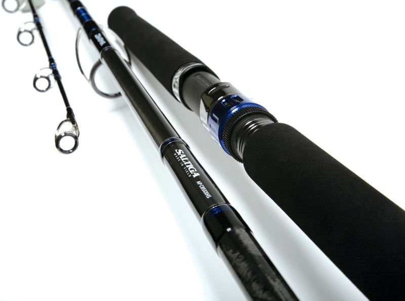 Daiwa Saltiga Airportable Rods