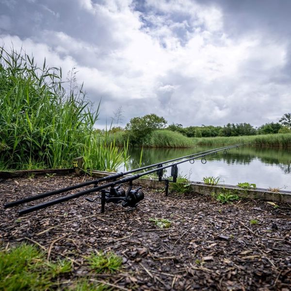 Daiwa Black Widow XT Carp Rods